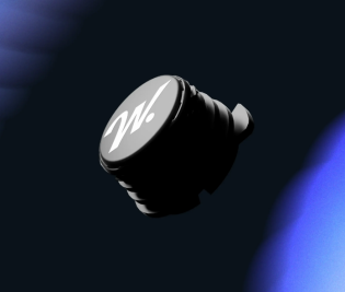 WITSEE SENSOR