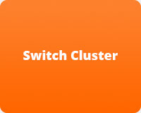 Switch Cluster